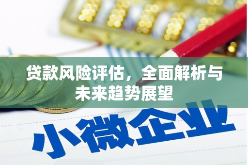 青冈贷款风险评估，全面解析与未来趋势展望