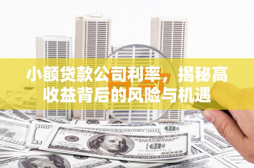 青冈小额贷款公司利率，揭秘高收益背后的风险与机遇