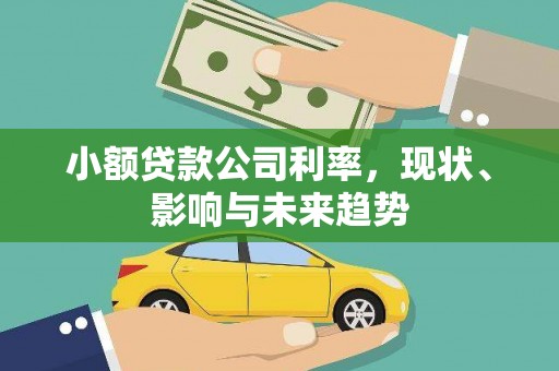 青冈小额贷款公司利率，现状、影响与未来趋势