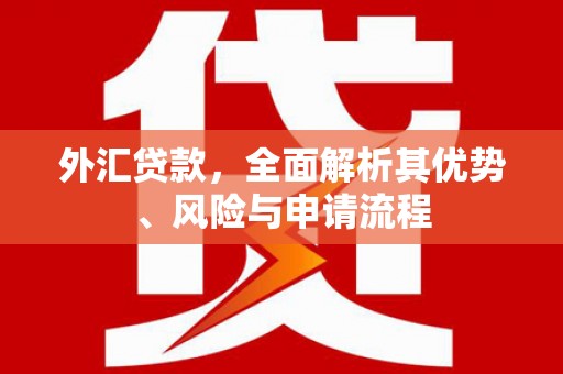 青冈外汇贷款，全面解析其优势、风险与申请流程