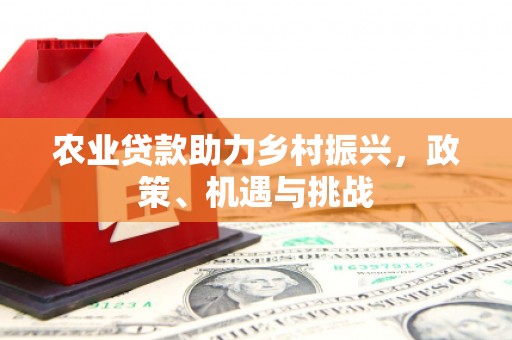 青冈农业贷款助力乡村振兴，政策、机遇与挑战