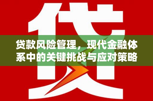 青冈贷款风险管理，现代金融体系中的关键挑战与应对策略