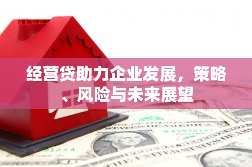 青冈经营贷助力企业发展，策略、风险与未来展望