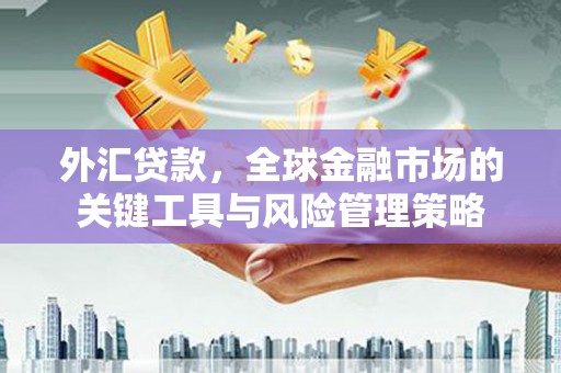 青冈外汇贷款，全球金融市场的关键工具与风险管理策略