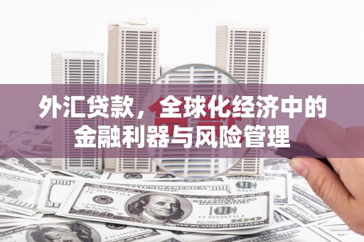 青冈外汇贷款，全球化经济中的金融利器与风险管理