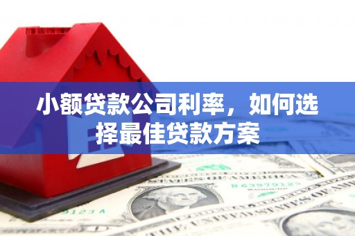 青冈小额贷款公司利率，如何选择最佳贷款方案