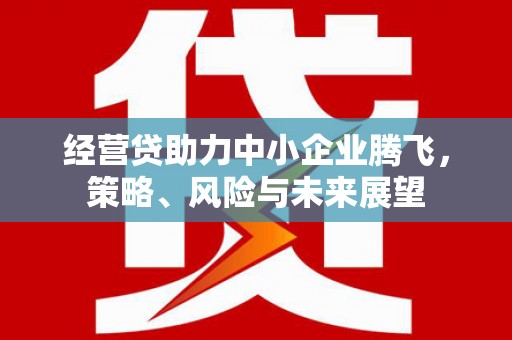 青冈经营贷助力中小企业腾飞，策略、风险与未来展望