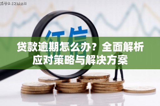 青冈贷款逾期怎么办？全面解析应对策略与解决方案