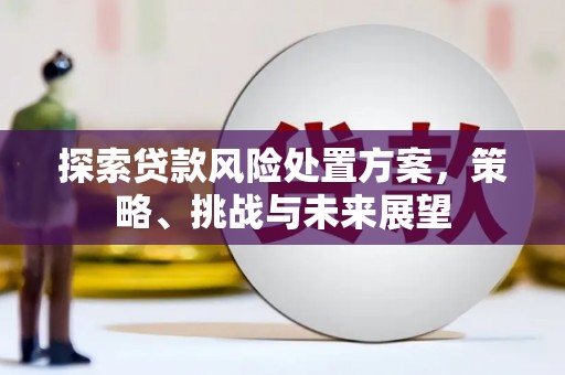 青冈探索贷款风险处置方案，策略、挑战与未来展望