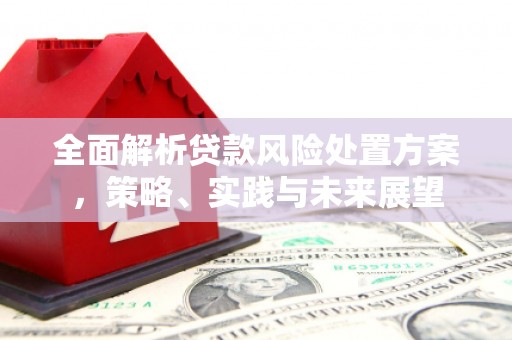 青冈全面解析贷款风险处置方案，策略、实践与未来展望