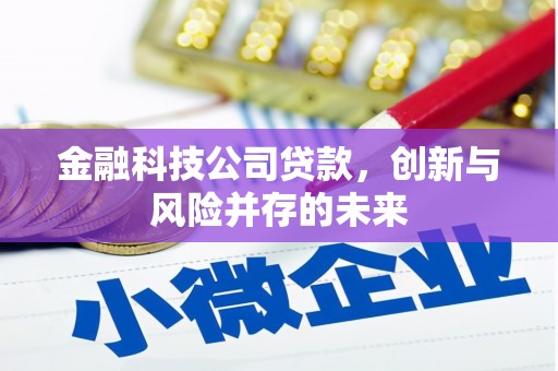 青冈金融科技公司贷款，创新与风险并存的未来