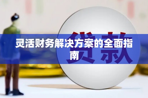 青冈灵活财务解决方案的全面指南