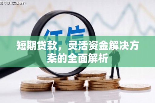 青冈短期贷款，灵活资金解决方案的全面解析