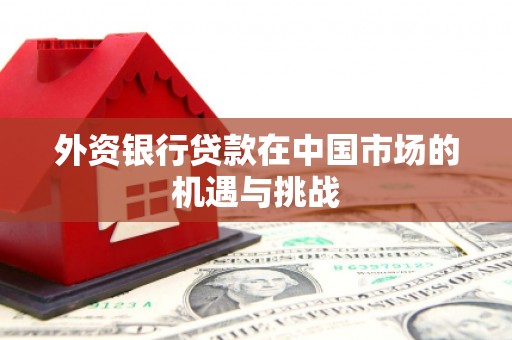 青冈外资银行贷款在中国市场的机遇与挑战