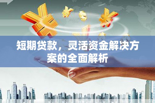 青冈短期贷款，灵活资金解决方案的全面解析