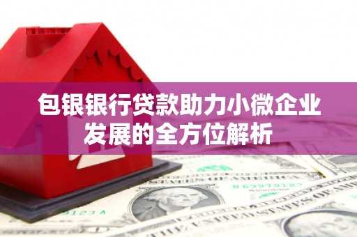 青冈包银银行贷款助力小微企业发展的全方位解析