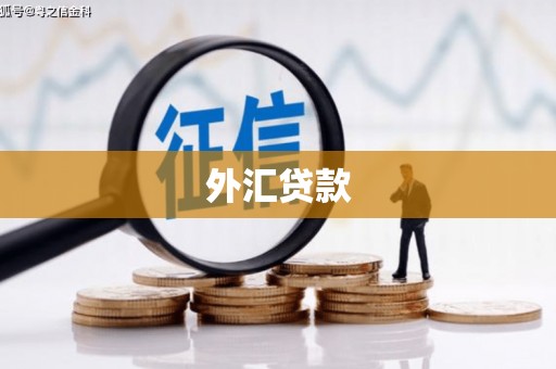 青冈外汇贷款