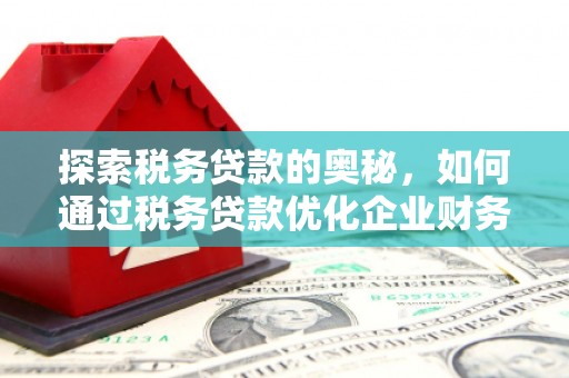 青冈探索税务贷款的奥秘，如何通过税务贷款优化企业财务