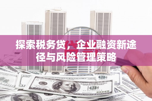 青冈探索税务贷，企业融资新途径与风险管理策略