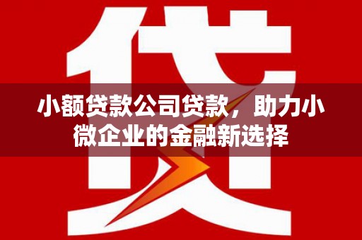 青冈小额贷款公司贷款，助力小微企业的金融新选择