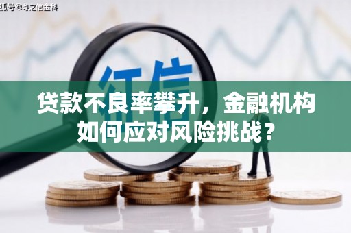 青冈贷款不良率攀升，金融机构如何应对风险挑战？