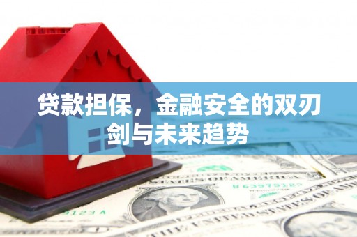 青冈贷款担保，金融安全的双刃剑与未来趋势