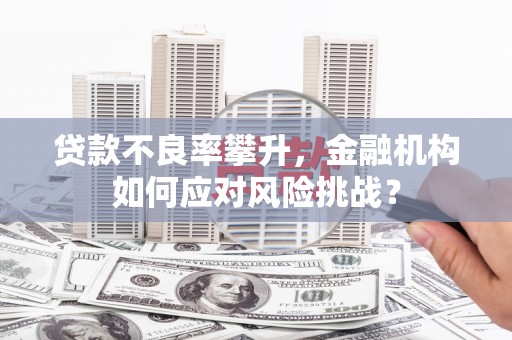 青冈贷款不良率攀升，金融机构如何应对风险挑战？