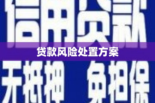 青冈贷款风险处置方案