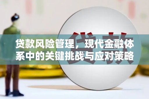 青冈贷款风险管理，现代金融体系中的关键挑战与应对策略