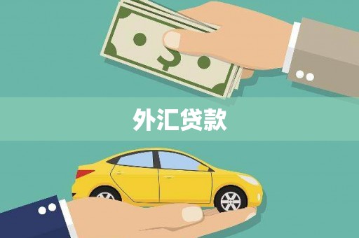 青冈外汇贷款
