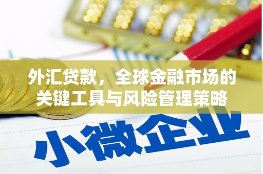 青冈外汇贷款，全球金融市场的关键工具与风险管理策略