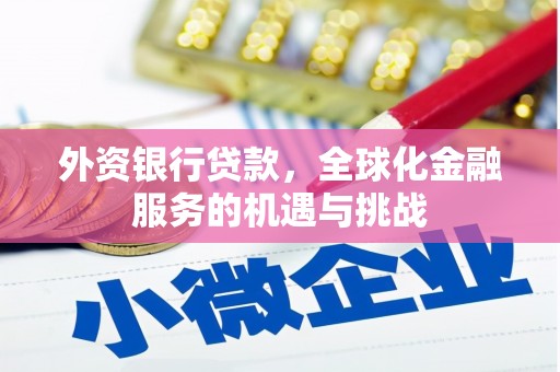 青冈外资银行贷款，全球化金融服务的机遇与挑战