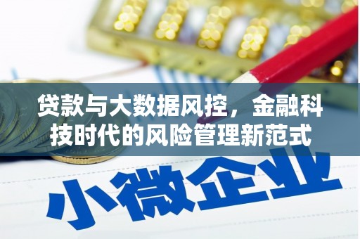 青冈贷款与大数据风控，金融科技时代的风险管理新范式