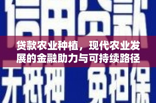 青冈贷款农业种植，现代农业发展的金融助力与可持续路径
