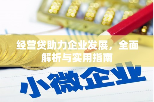 青冈经营贷助力企业发展，全面解析与实用指南