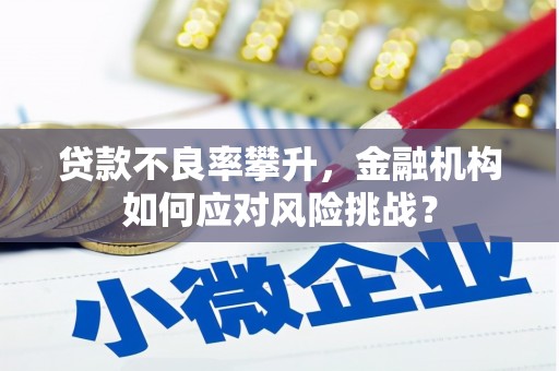 青冈贷款不良率攀升，金融机构如何应对风险挑战？