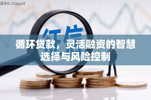 青冈循环贷款，灵活融资的智慧选择与风险控制