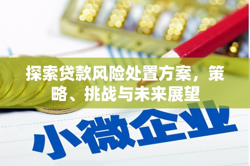 青冈探索贷款风险处置方案，策略、挑战与未来展望