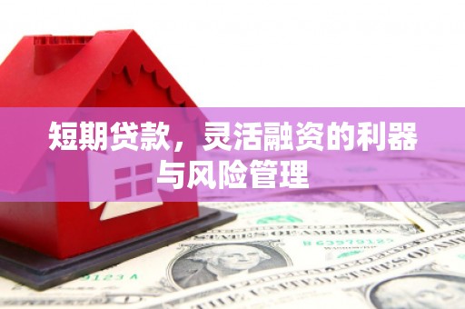 青冈短期贷款，灵活融资的利器与风险管理