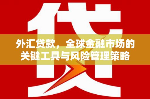 青冈外汇贷款，全球金融市场的关键工具与风险管理策略