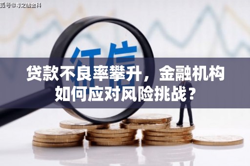 青冈贷款不良率攀升，金融机构如何应对风险挑战？