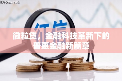 青冈微粒贷，金融科技革新下的普惠金融新篇章