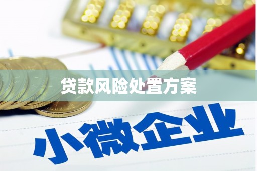 青冈贷款风险处置方案