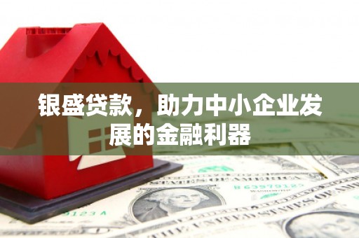 青冈银盛贷款，助力中小企业发展的金融利器