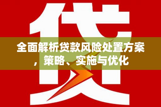 青冈全面解析贷款风险处置方案，策略、实施与优化
