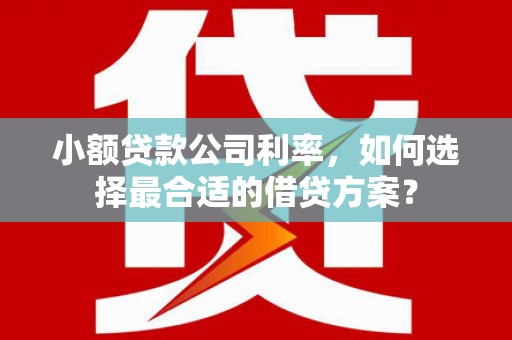 青冈小额贷款公司利率，如何选择最合适的借贷方案？
