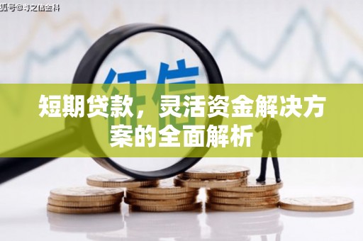 青冈短期贷款，灵活资金解决方案的全面解析