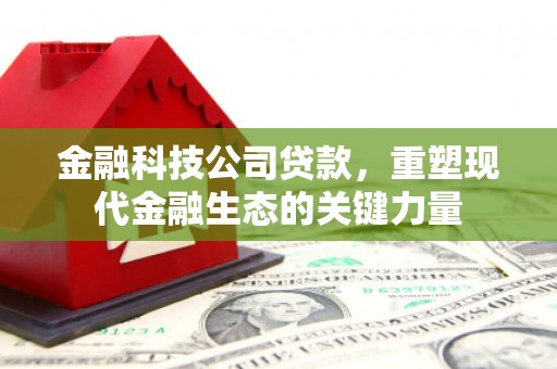 青冈金融科技公司贷款，重塑现代金融生态的关键力量
