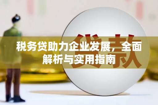 青冈税务贷助力企业发展，全面解析与实用指南