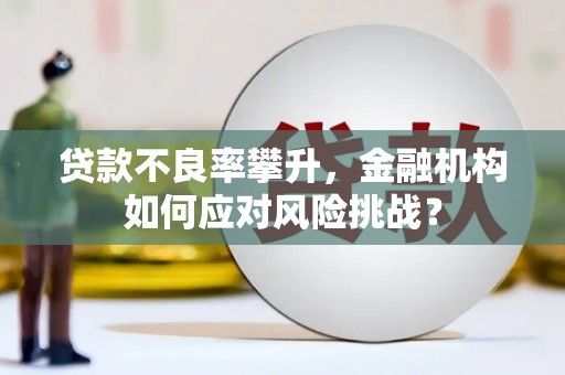 青冈贷款不良率攀升，金融机构如何应对风险挑战？